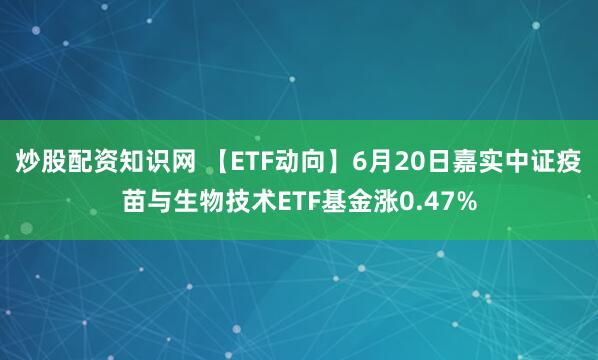 炒股配资知识网 【ETF动向】6月20日嘉实中证疫苗与生物技术ETF基金涨0.47%