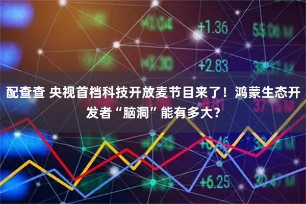配查查 央视首档科技开放麦节目来了！鸿蒙生态开发者“脑洞”能有多大？